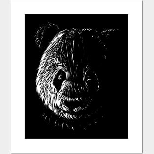 Stripe Design Head of a Panda Posters and Art